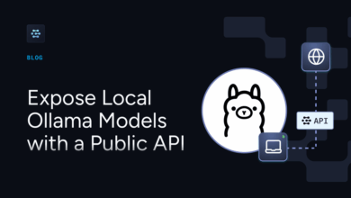 Run Ollama Models Locally and make them Accessible via Public API