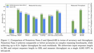 NVIDIA AI Releases Nemotron Nano 2 AI Models: A Production-Ready Enterprise AI Model Family and 6x Faster than Similar Sized Model