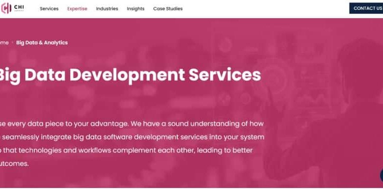 10 Best Big Data Development Firms for Enterprises