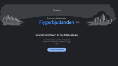 Flight Deals är ett nytt AI-drivet sökverktyg i Google Flights