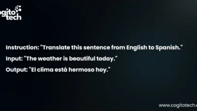 Fine-Tuning LLMs for Domain Specific Excellence