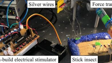 Cyborg Insects Update 2 – MetaDevo