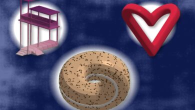 MIT tool visualizes and edits “physically impossible” objects | MIT News