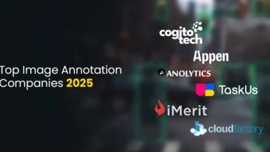 Top Image Annotation Companies 2025