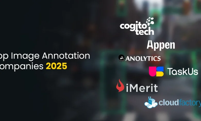 Top Image Annotation Companies 2025